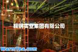 鞍钢实业集团有限公司