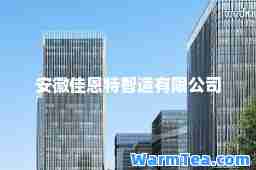 安徽佳恩特智造有限公司