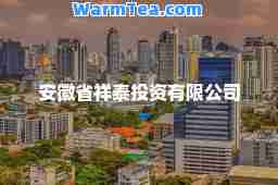 安徽省祥泰投资有限公司