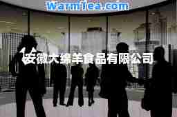 安徽大绵羊食品有限公司