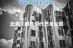北京大都会现代艺术公司