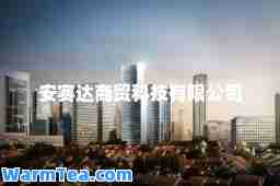 安赛达商贸科技有限公司