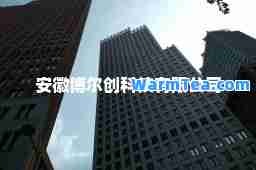 安徽博尔创科技有限公司