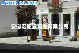 安徽宏愿堂药业有限公司