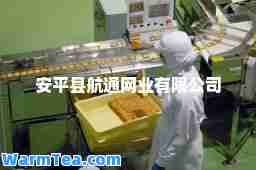 安平县航通网业有限公司