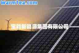 宝能新能源集团有限公司