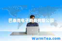 巴泰克电子商务有限公司