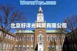 北京好洋光科贸有限公司