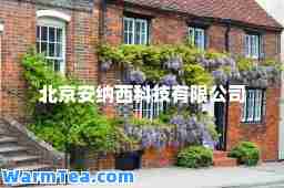 北京安纳西科技有限公司