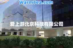 爱上游北京科技有限公司