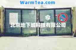 北京地下城科技有限公司