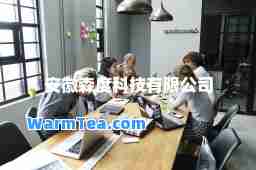 安徽森度科技有限公司