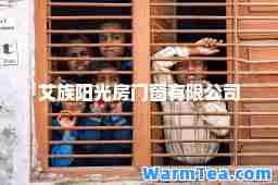 艾族阳光房门窗有限公司