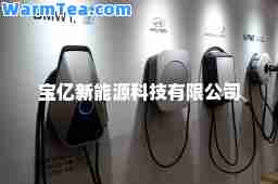 宝亿新能源科技有限公司 宝亿新能源科技有限公司