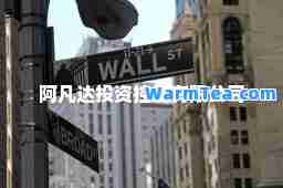 阿凡达投资控股有限公司