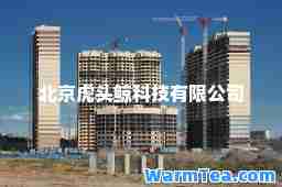 北京虎头鲸科技有限公司