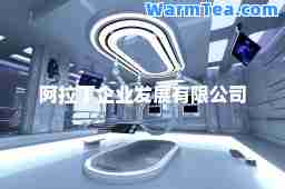 阿拉丁企业发展有限公司