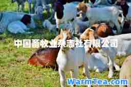 中国畜牧业杂志社有限公司