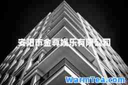 安阳市金尊娱乐有限公司