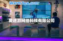 爱迷游网络科技有限公司