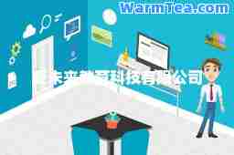 爱未来教育科技有限公司