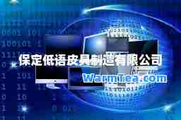 保定低语皮具制造有限公司