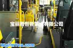 宝丽雅智能系统有限公司