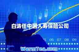 白涛任中国人寿保险公司