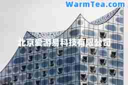 北京爱游易科技有限公司