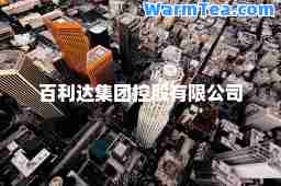 百利达集团控股有限公司