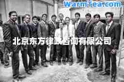 北京东方律政咨询有限公司
