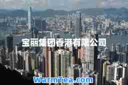 宝丽集团有限公司