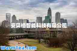 安贝格智能科技有限公司