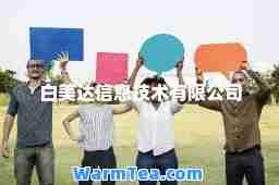 白美达信息技术有限公司