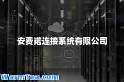 安费诺连接系统有限公司
