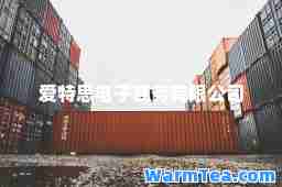 爱特思电子商务有限公司