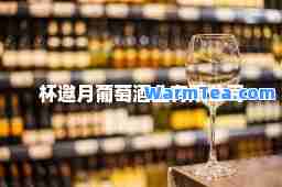杯邀月葡萄酒业有限公司