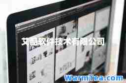 艾酷软件技术有限公司