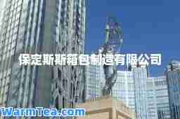 保定斯斯箱包制造有限公司