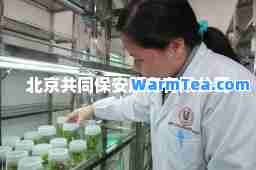 北京共同保安服务有限公司