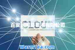 百安居网络技术有限公司