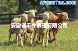 安徽省禾牛养殖有限公司