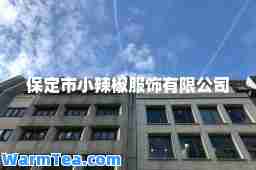 保定市小辣椒服饰有限公司