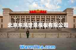 北京东风世景模板有限公司