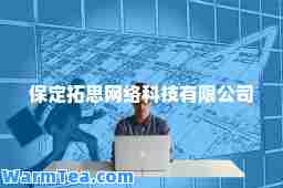 保定拓思网络科技有限公司
