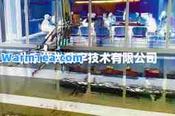 北京华为数字技术有限公司