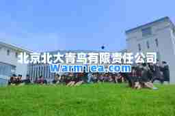 北京北大青鸟有限责任公司