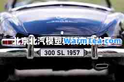 北京北汽模塑科技有限公司