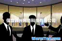 保定政兴网络科技有限公司