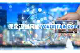 保定迈创网络科技有限公司
